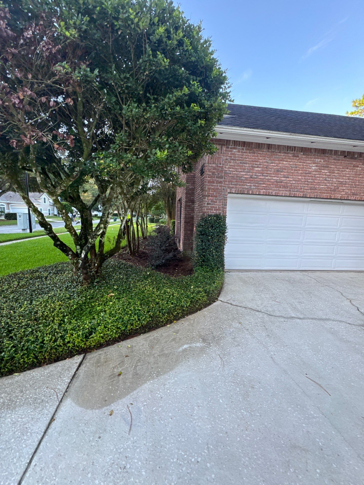 Residential | Shrub Trimming by ProGreen Services