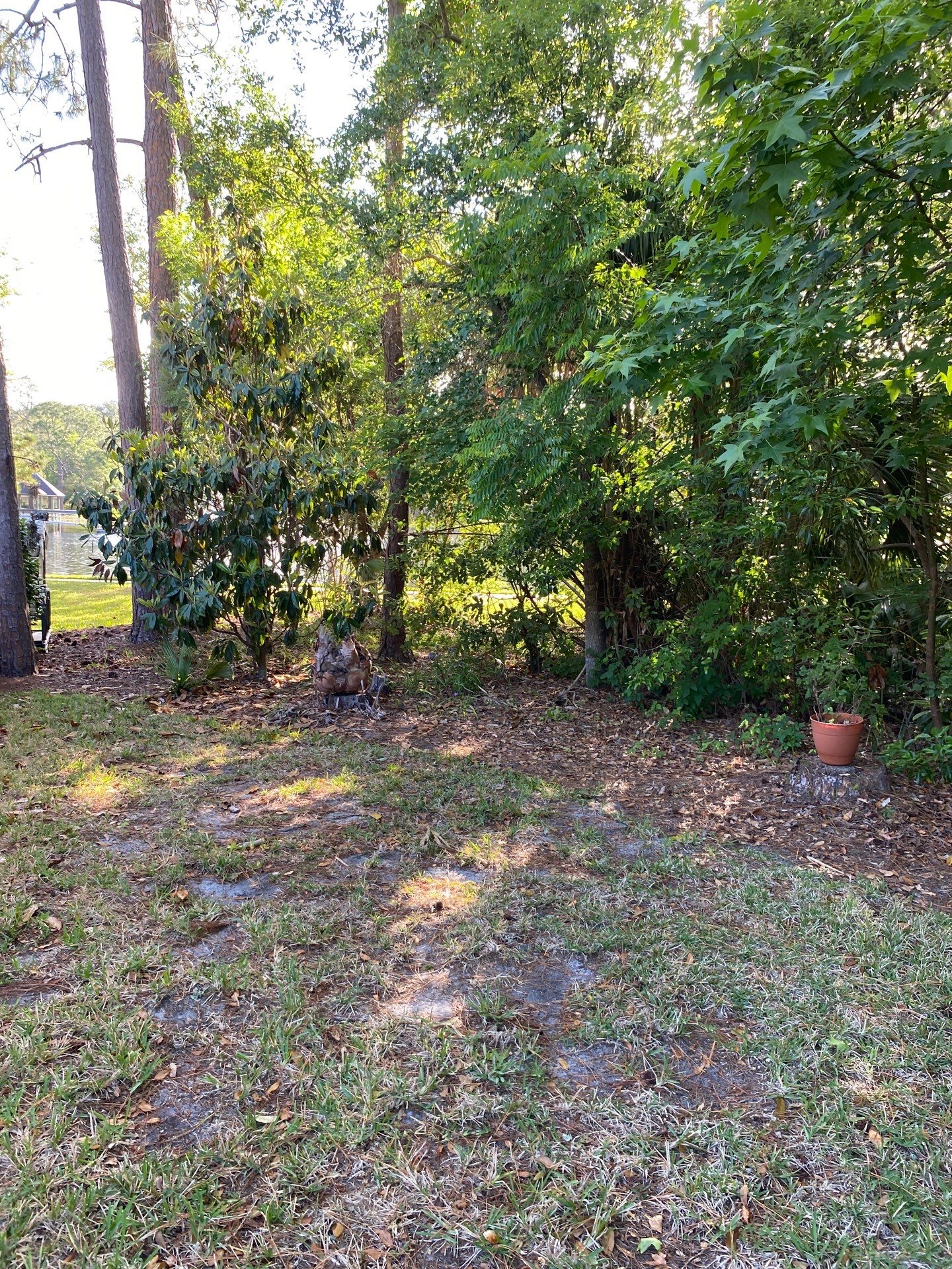 Residential | Volunteer Clean-Up by ProGreen Services