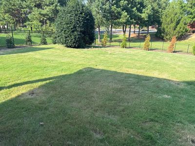 Project in Waxhaw