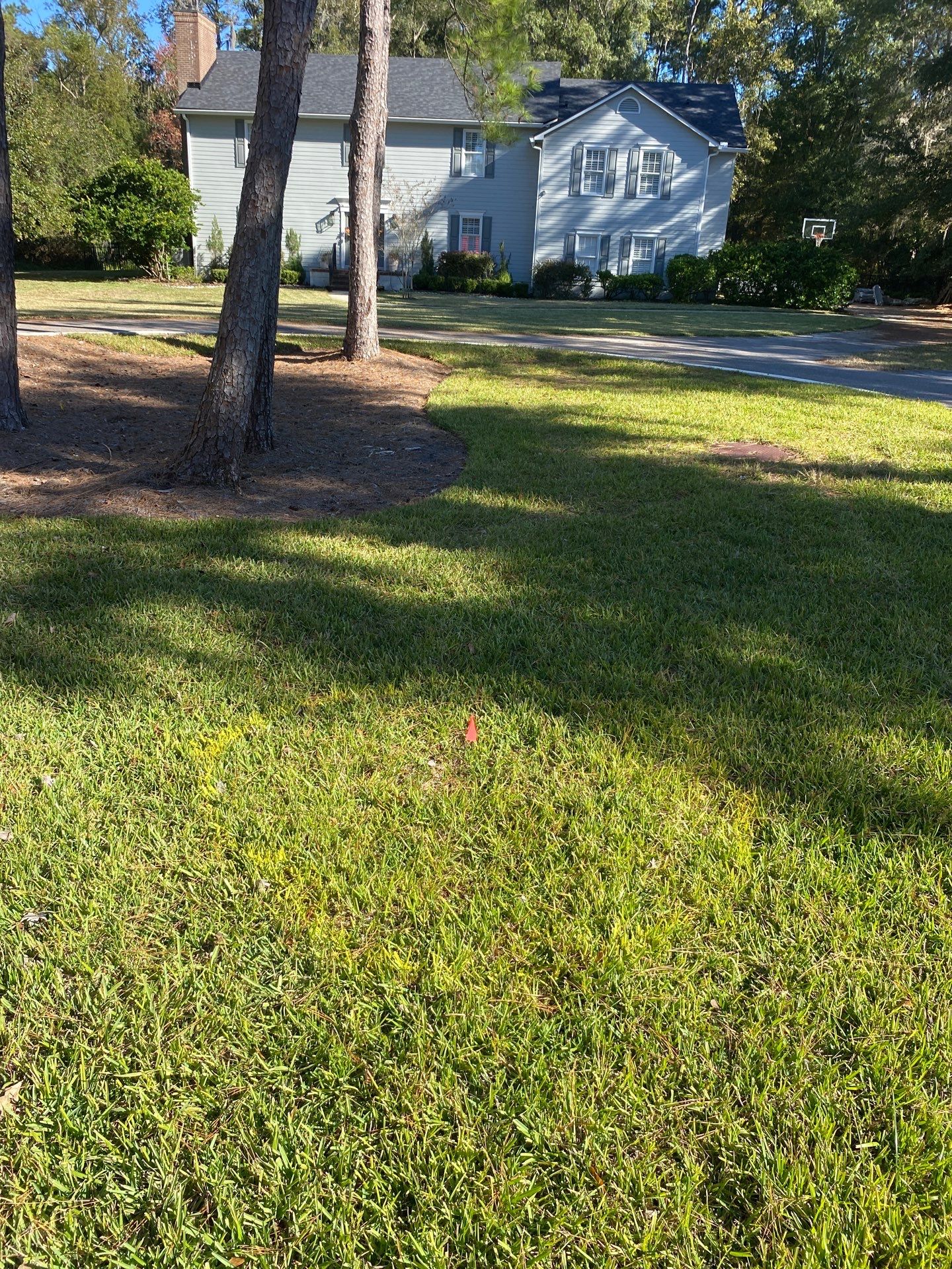Deerwood Community | Oak Tree Replacement Project by ProGreen Services