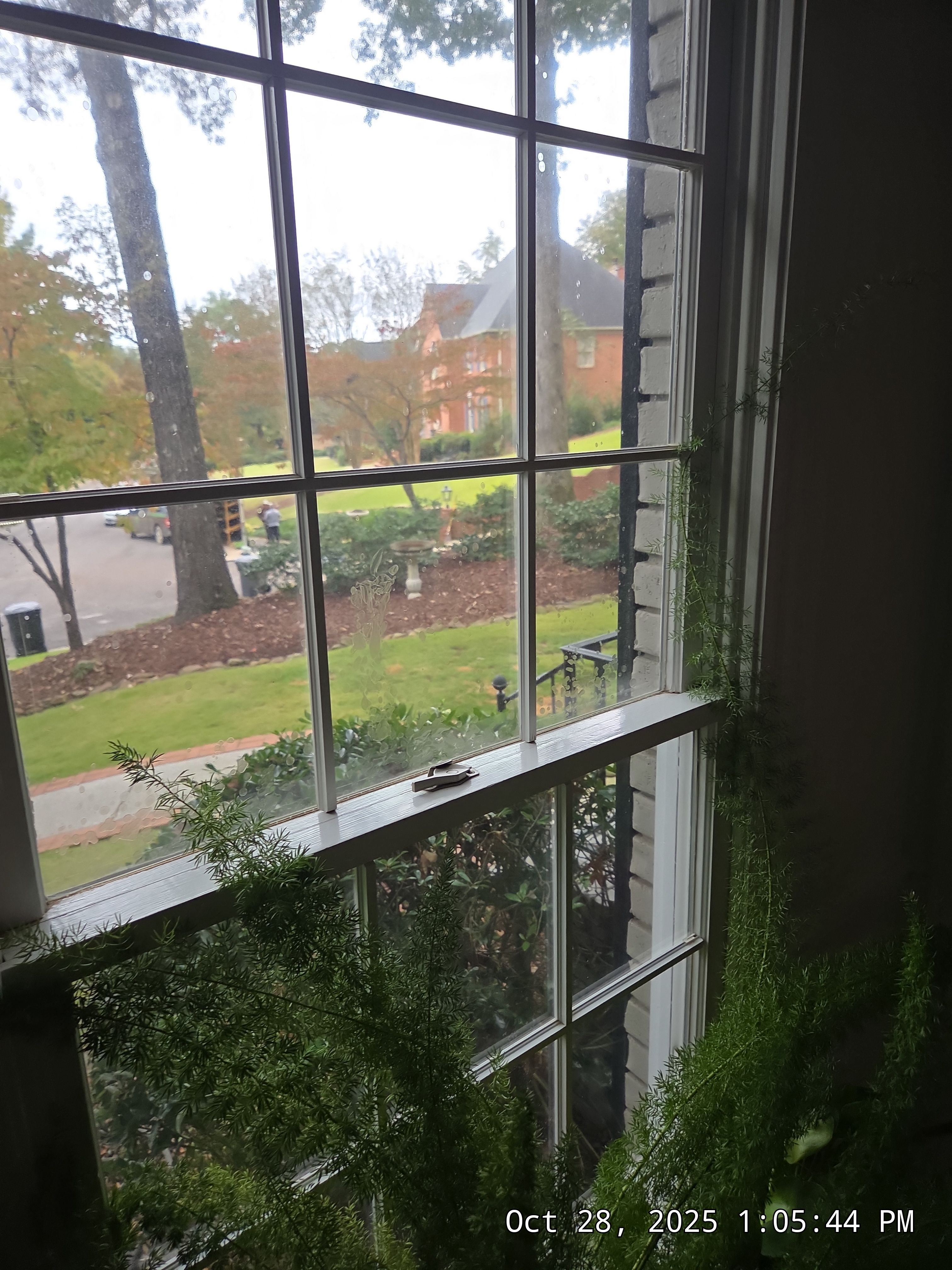 Flowers Project in Vestavia Hills, AL by The Window Source