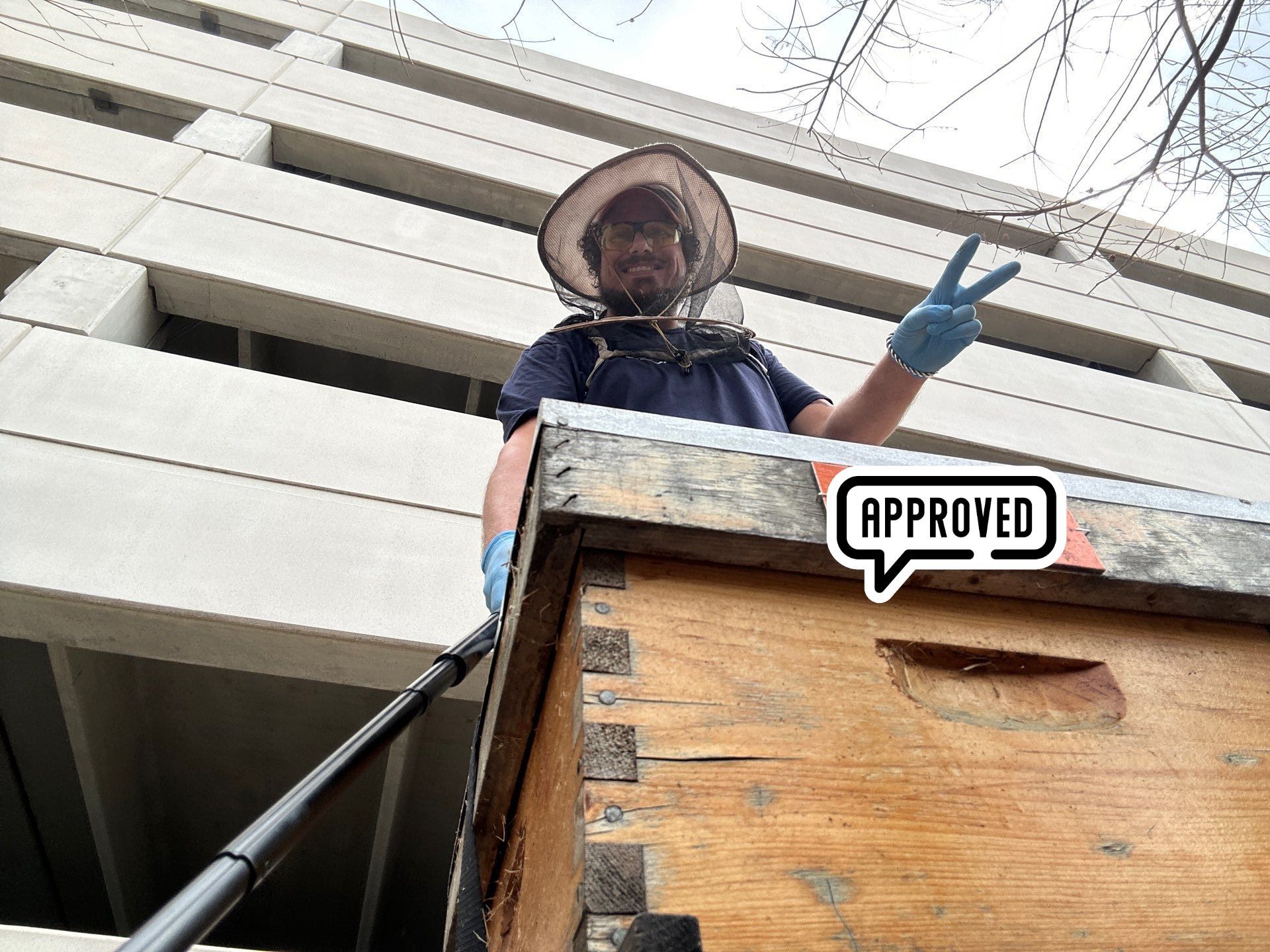 Corp. Greenspace, Frisco by Rockwall Honey Bee Company