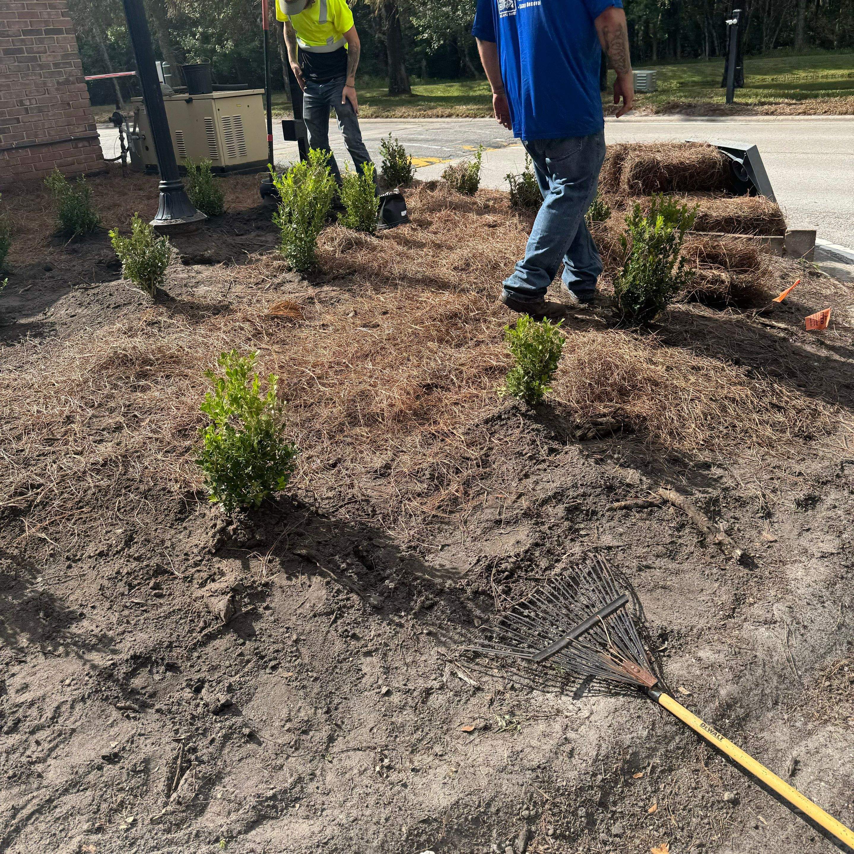 Main Gate Landscaping Project | Deerwood Community by ProGreen Services