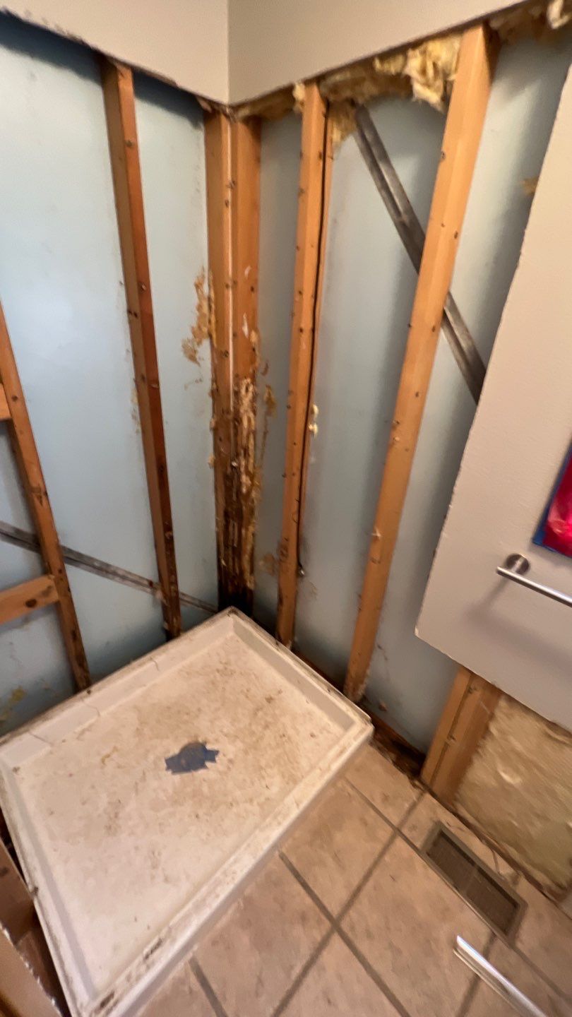 Water Damage and Mold Remediation by Accountable Home Services