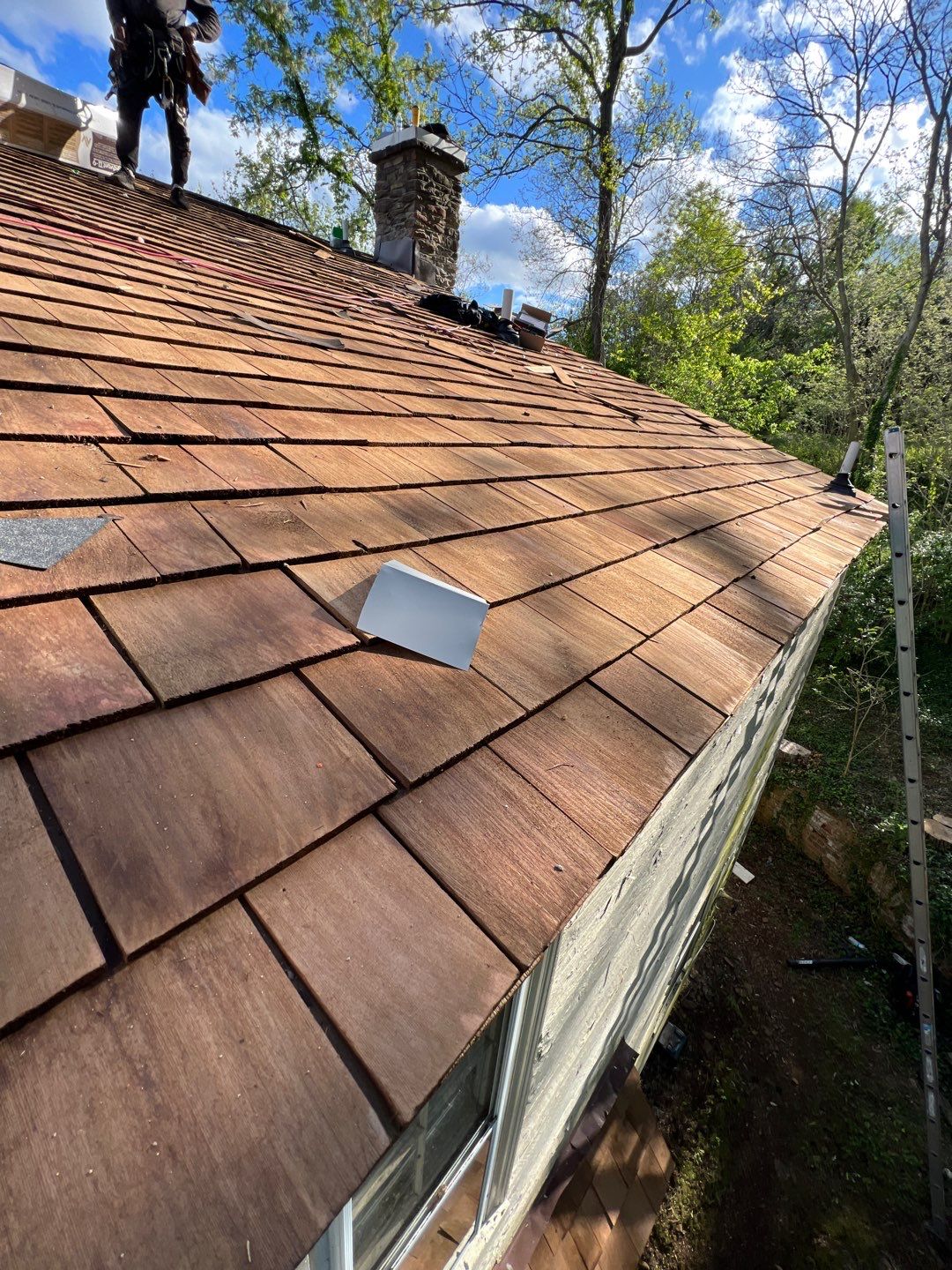 Gainesville Historic Structure: Western Red Cedar #1 Perfection G&R CCA Cedar Shakes by RM Banning, Inc.