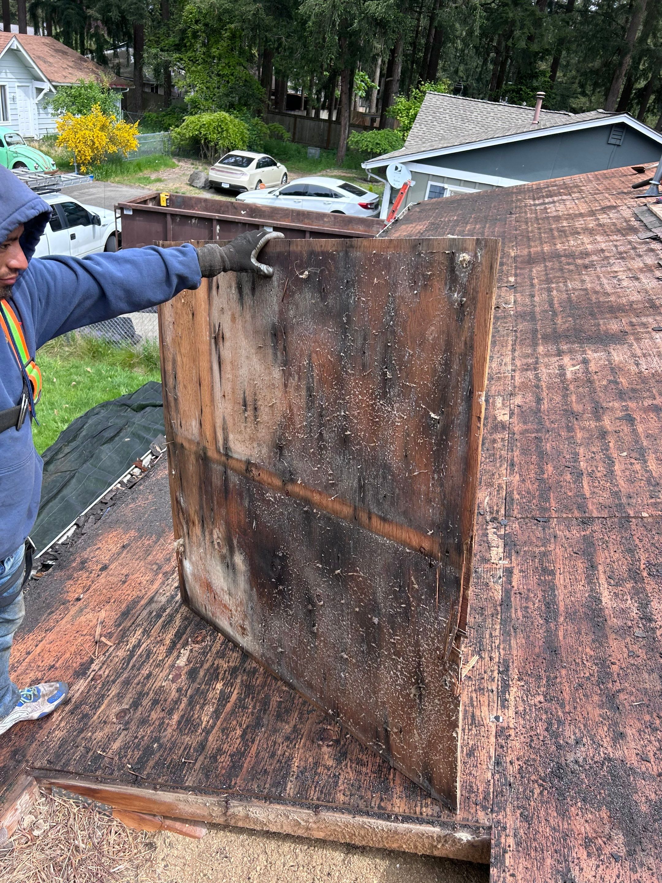 GAF Timberline HDZ, Shakewood by Proline Roofing & Restoration LLC