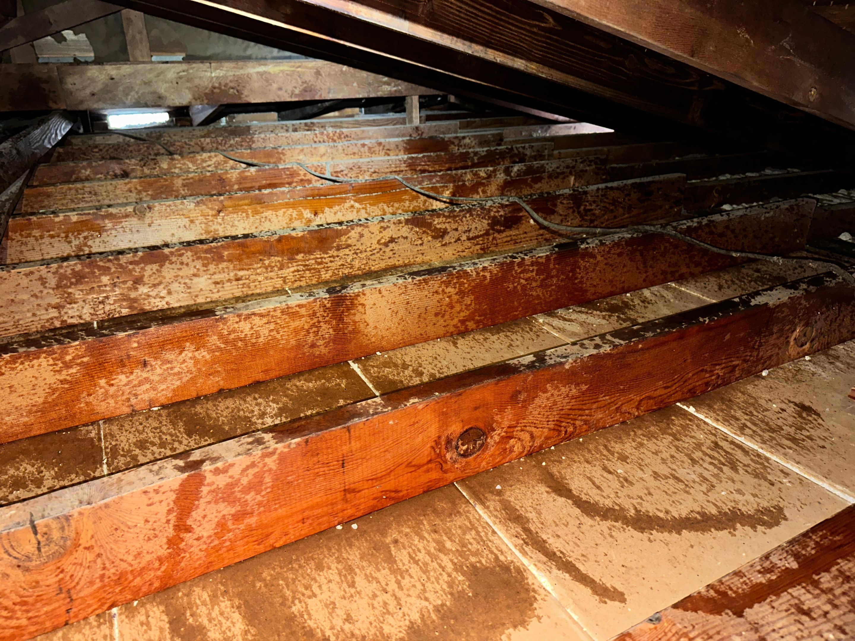 Project in Fullerton by Insulation Labs