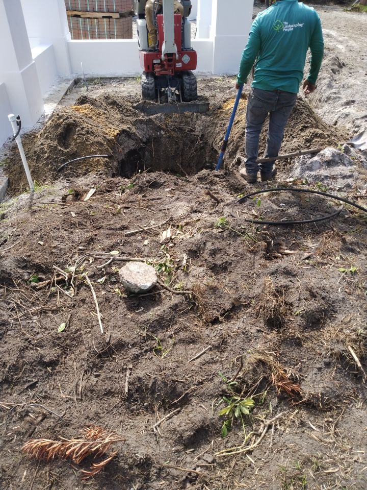 Hazard  by The Landscaping People