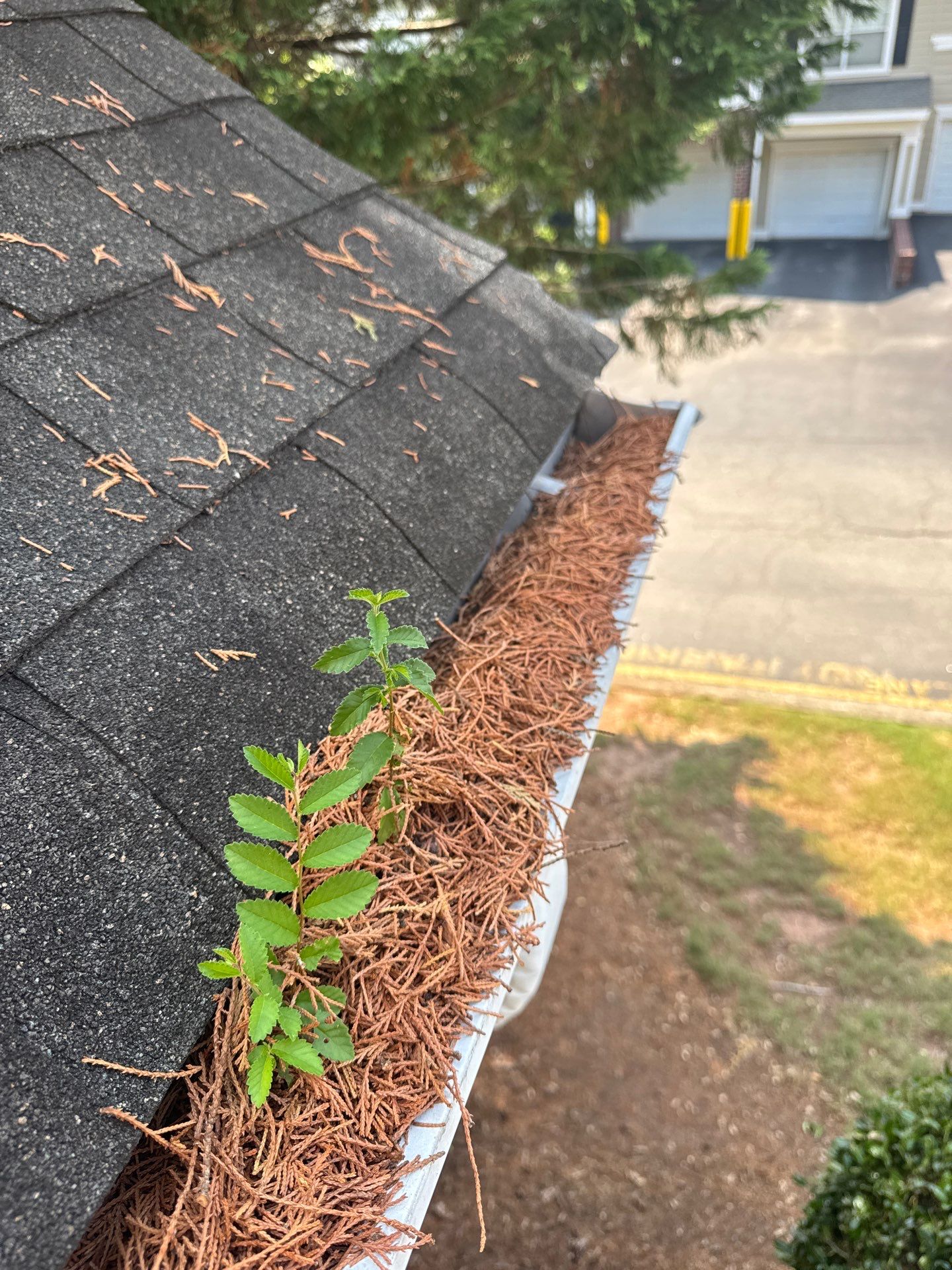 Commercial gutter cleaning Cary & Apex, NC before photo with filled gutters