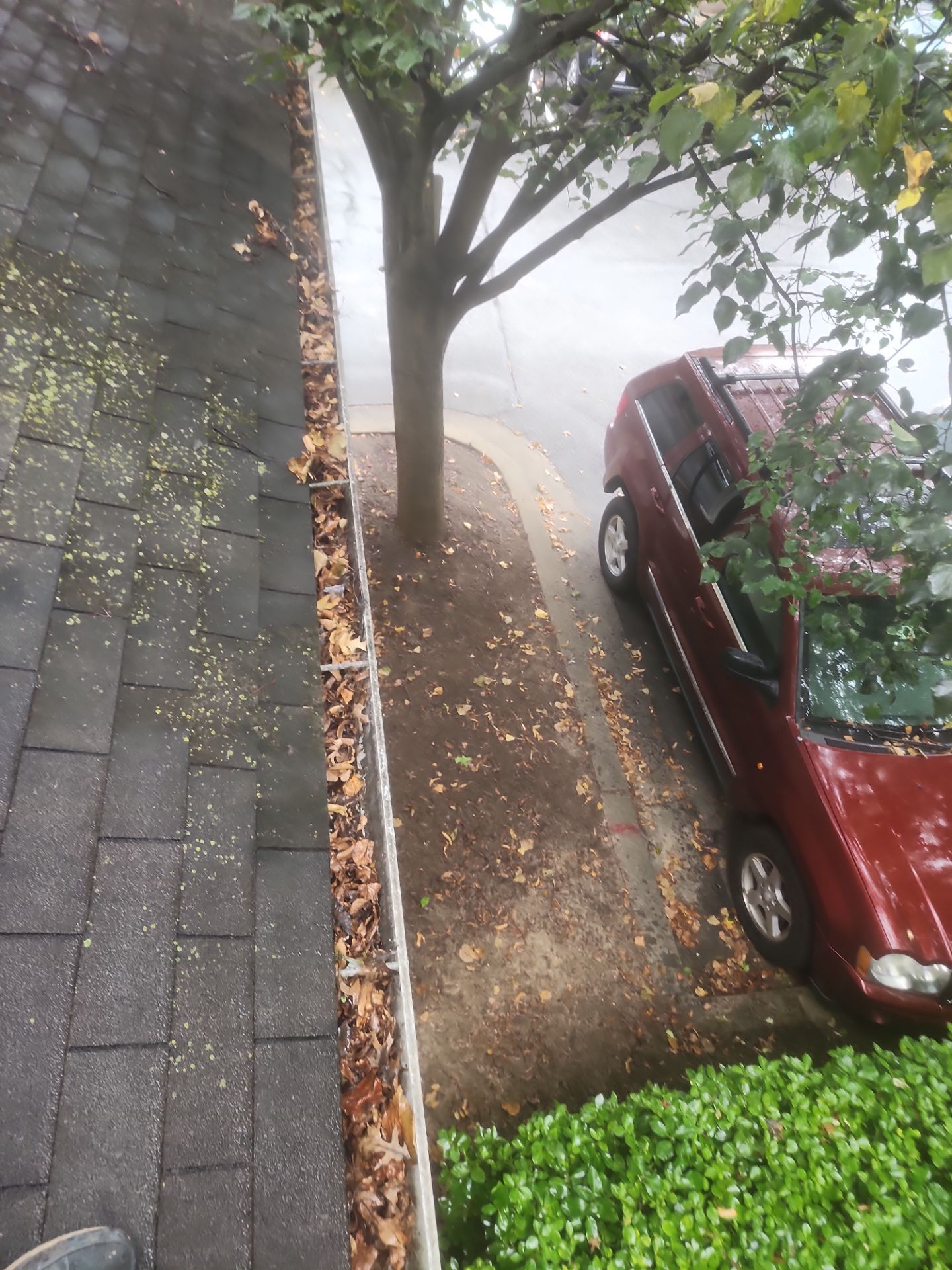 Commercial gutter cleaning Washington before photo with filled gutters