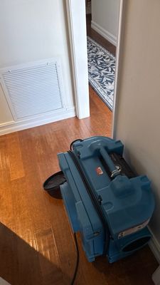 Black Mold Removal — Fort Myers, FL