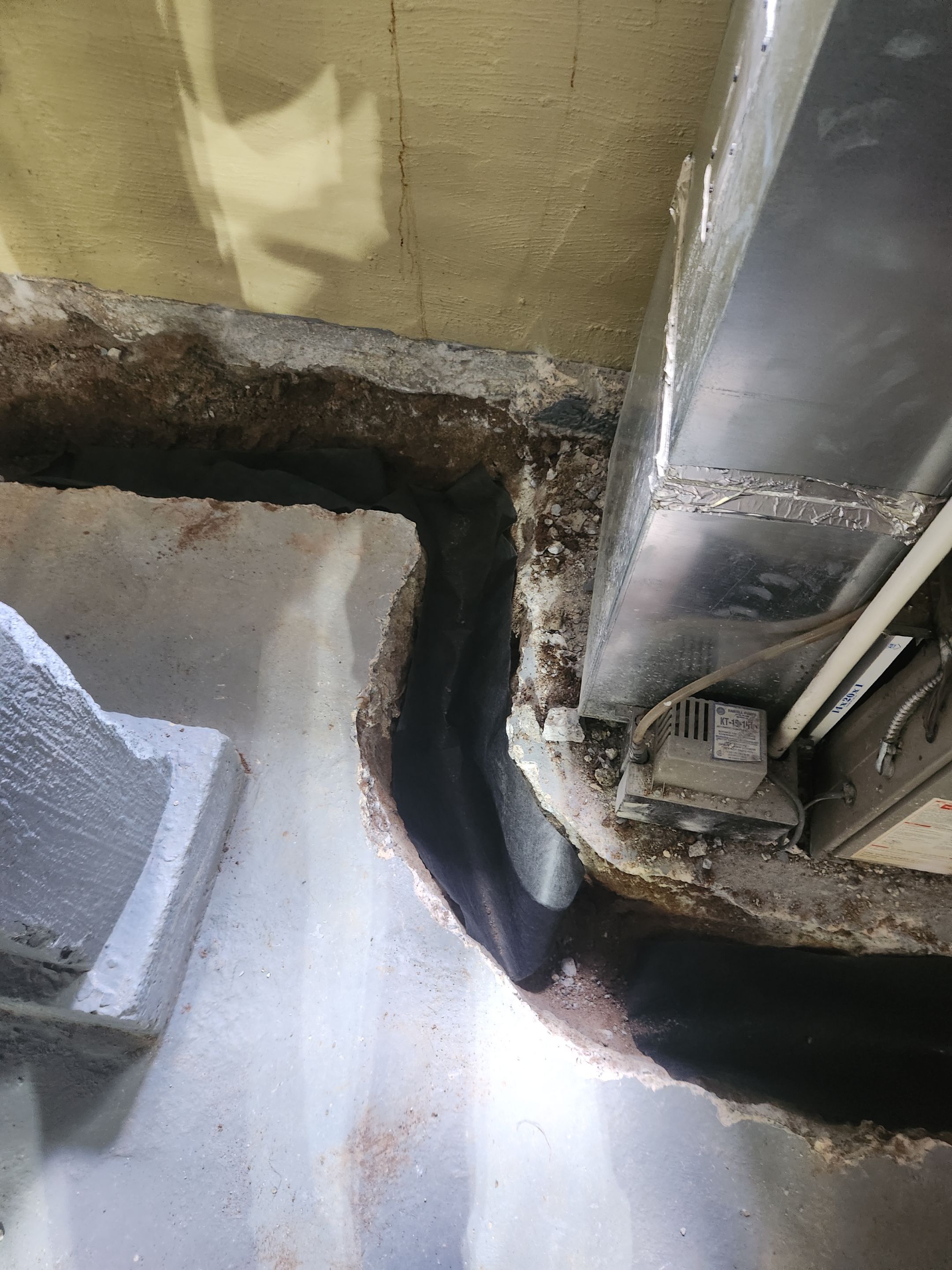 Interior French Drain River Edge NJ by Pure Service Pro, LLC 