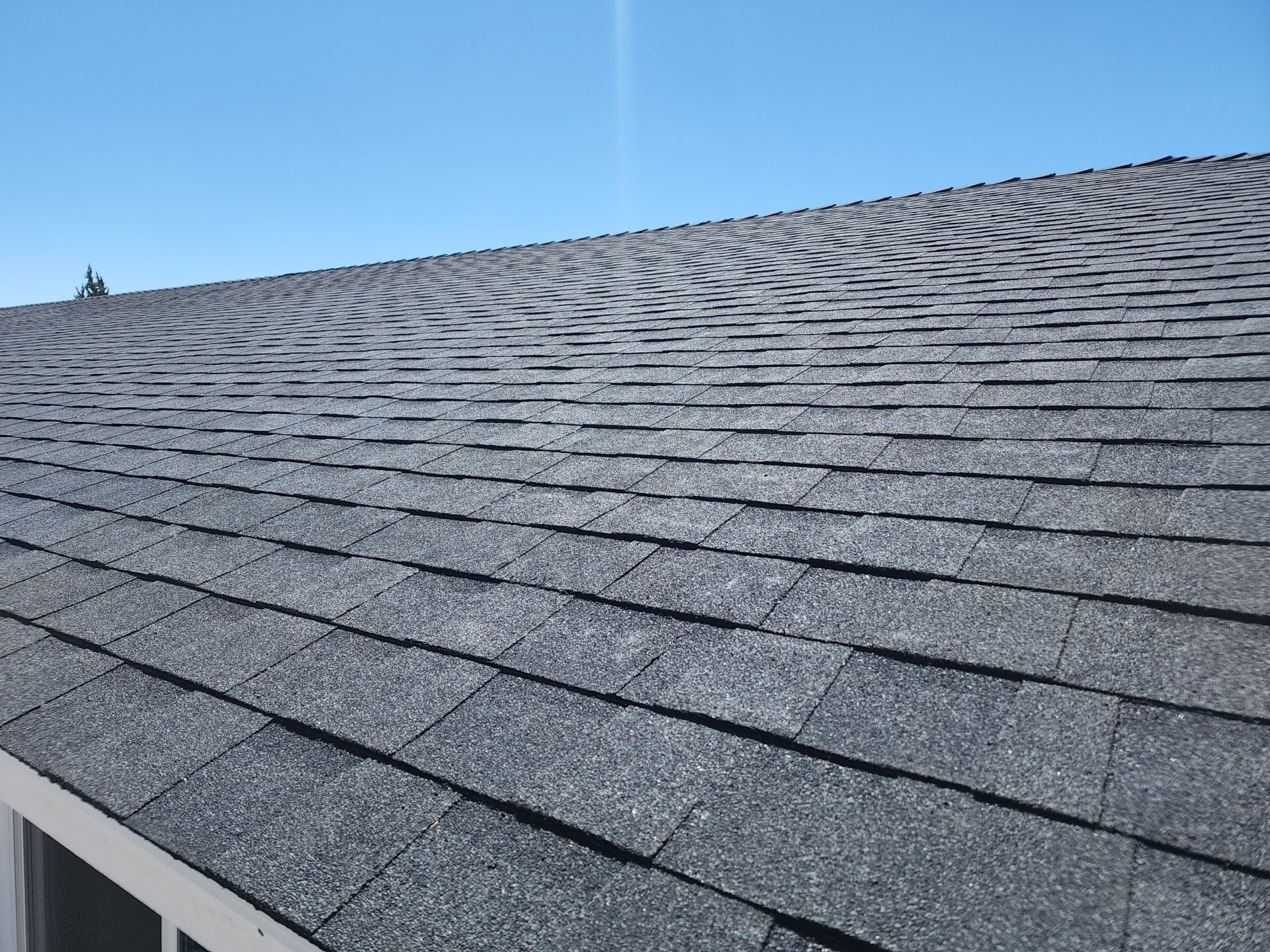 Onyx Black Shingles by Reimagine Roofing