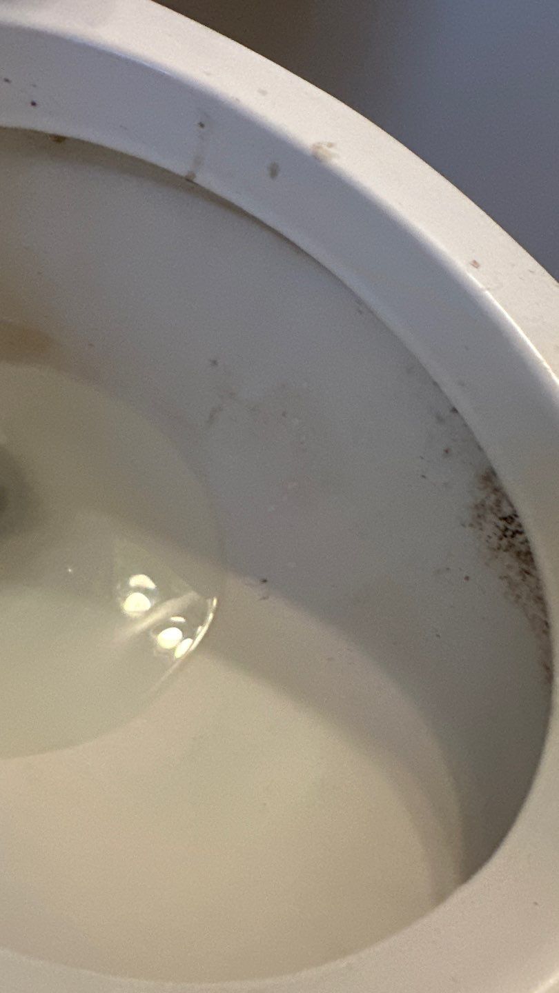 Deep Cleaning - San Bruno by CalMaids