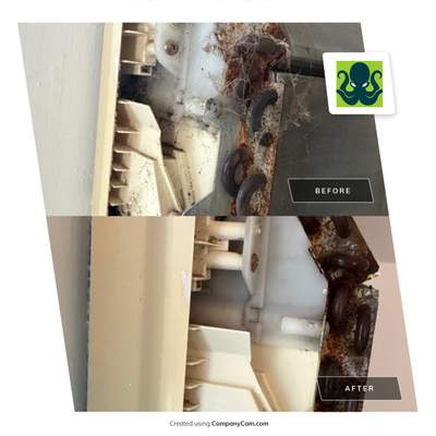 New Paltz, NY — Mini-Split Deep Clean & Biological Growth Removal