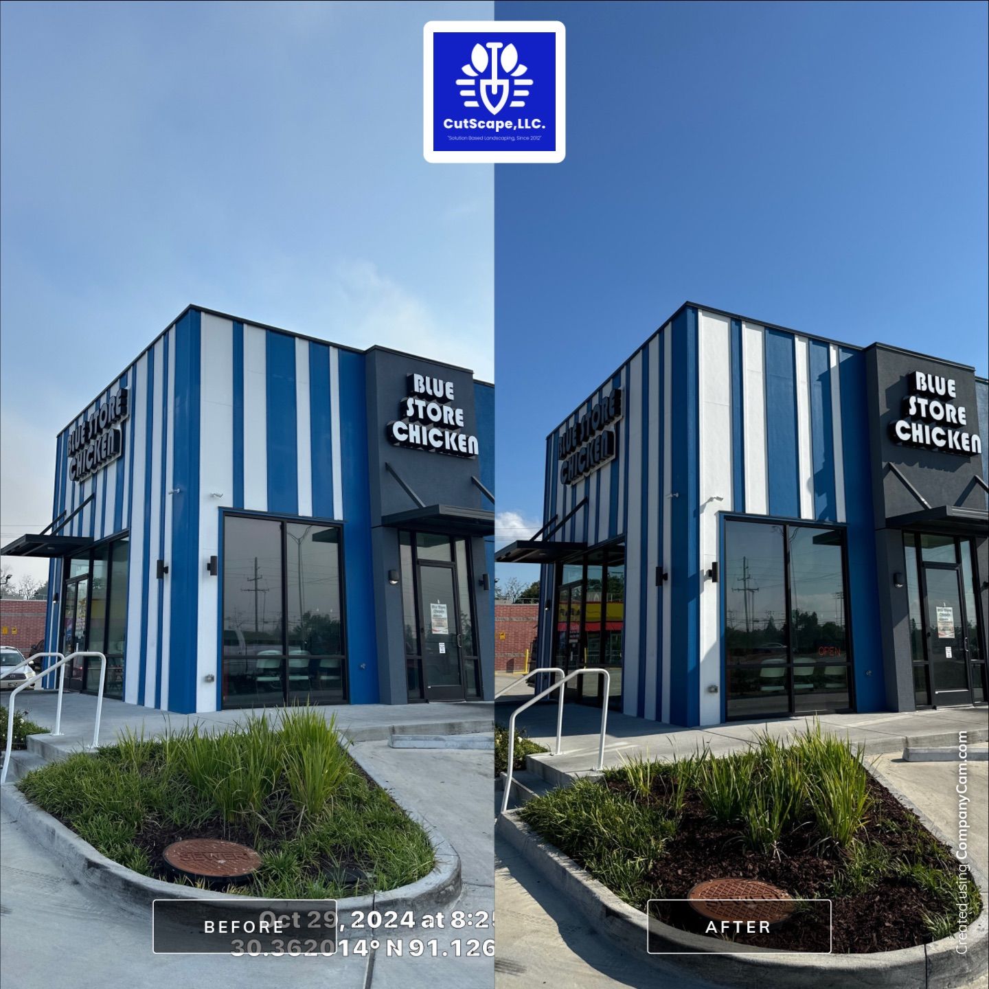 COMMERCIAL LAWN MAINTENANCE: HEDGE TRIM / BED CLEAN / MULCH INSTALL using BROWN MULCH "BARK BRITE" by CutScape, LLC.