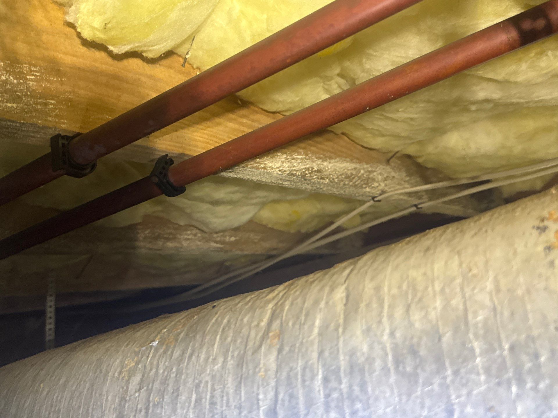 Project in Yorktown by Patriot Crawl Space Repairs