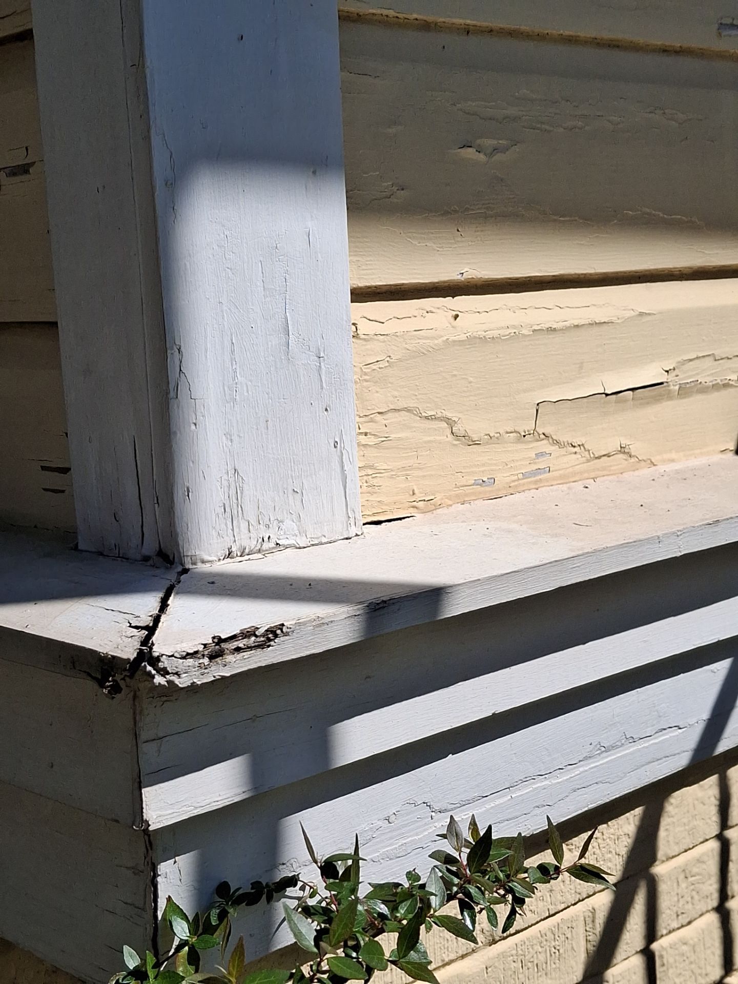 A Historic Tyler Home Gets a Careful Exterior Refresh by Quality Coats Painting