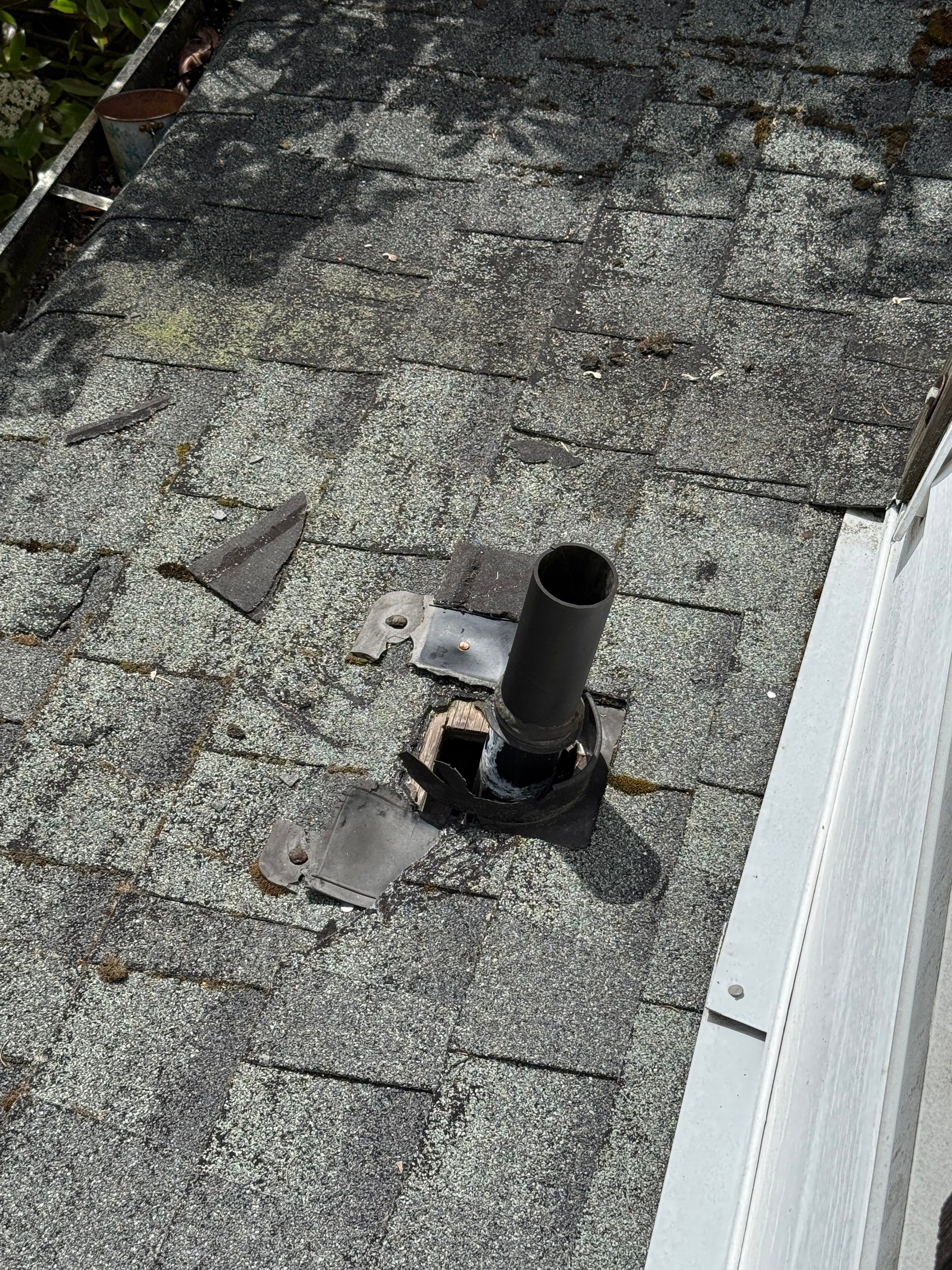 Soft Wash Shingles & Siding - Gutter Cleaning - Fascia Painting  by YVR Construction Group