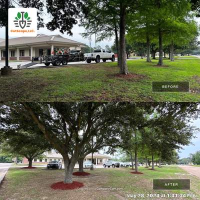 COMMERCIAL: BED CLEAN / MULCH INSTALL