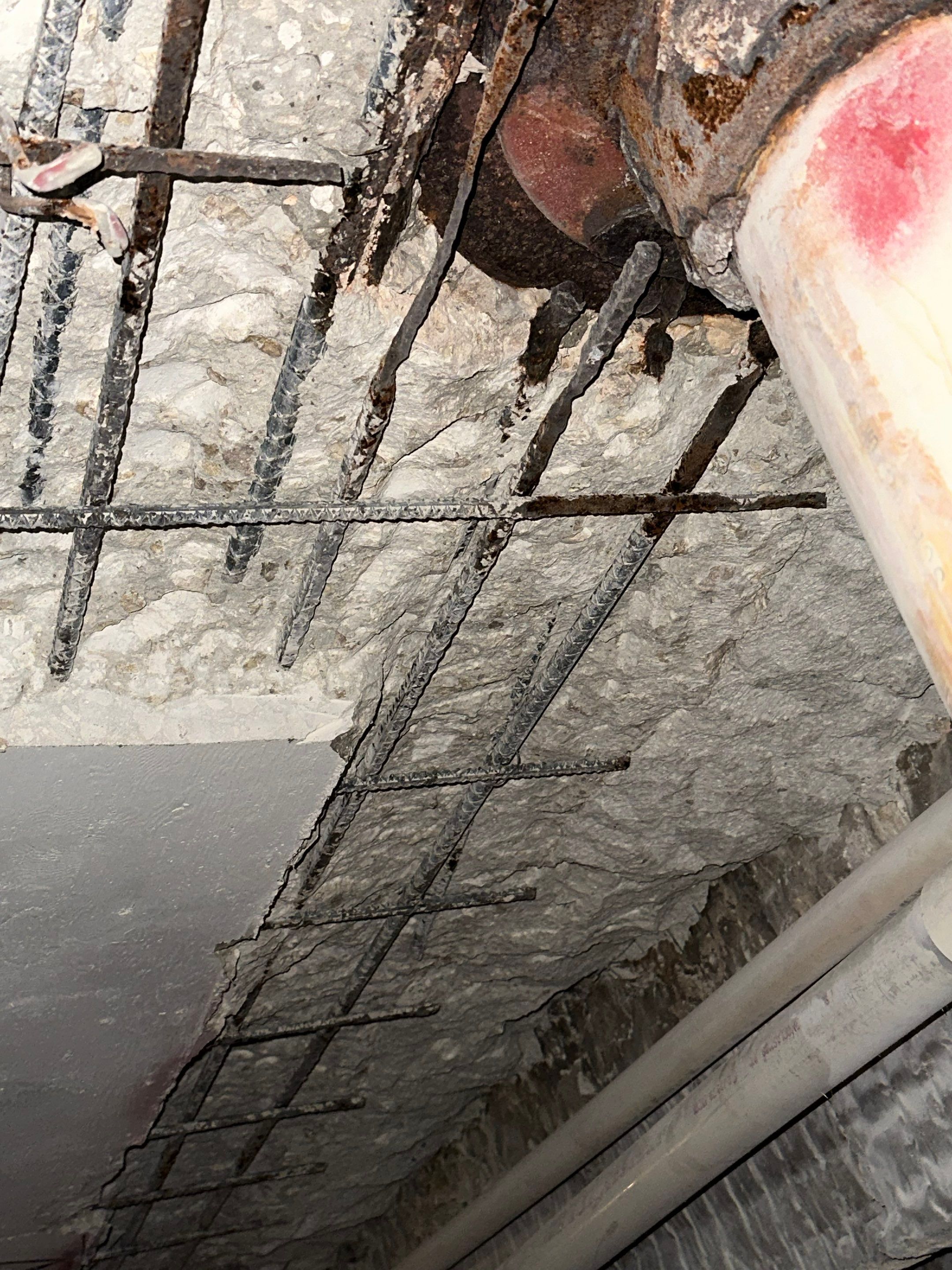 Project in Fort Lauderdale by The Goat Contractor ( Giampri Corp)