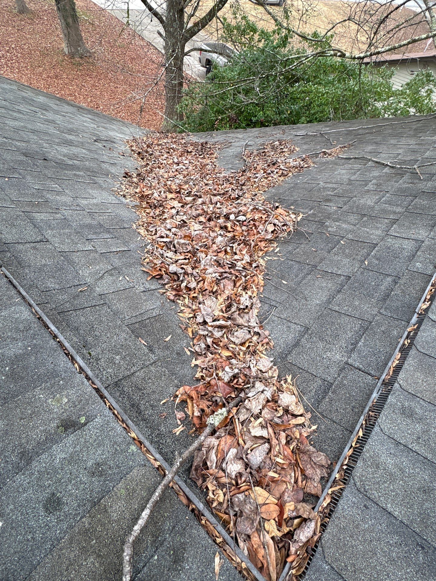 Clean Roof, Strong Home 🍂 by Georgia Roof Advisors