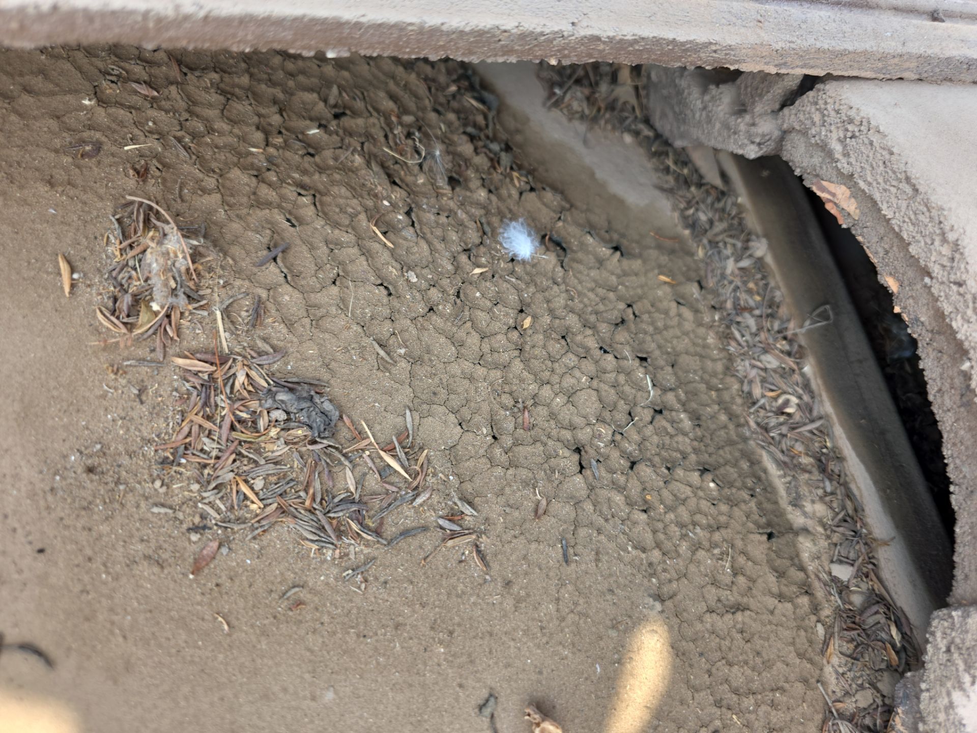 Recent Rain and Storm Damage in Gilbert by Weather-Tite Roofing