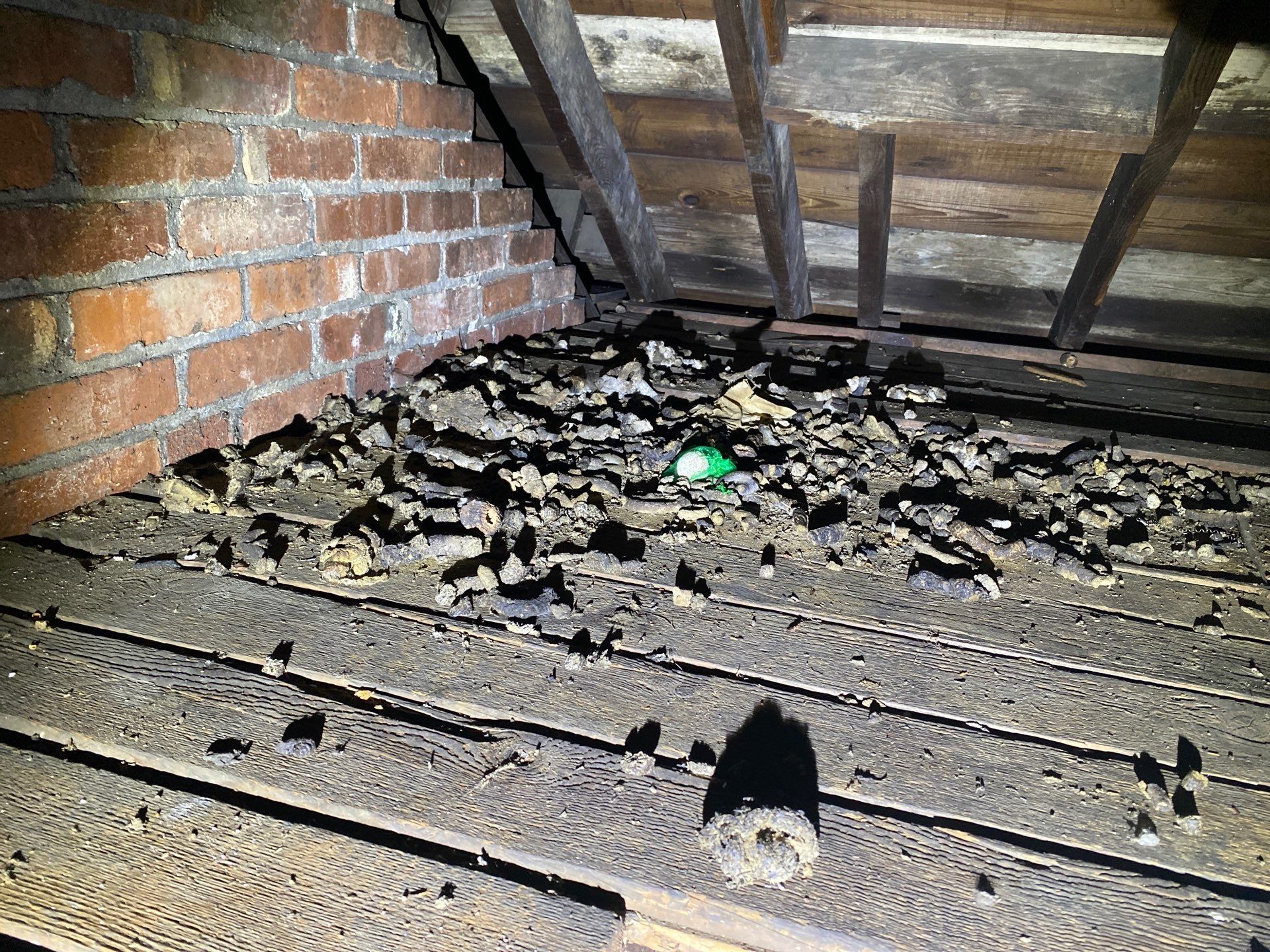 Rodent Clean up in Pittsburgh PA by Home Environment Solutions