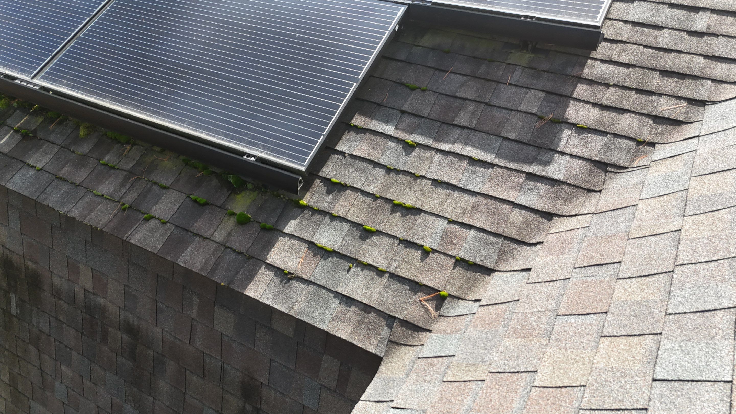 Westford Roof Repair: 1 Square Damaged Section Replacement by Mighty Dog Roofing of Greater Middlesex County