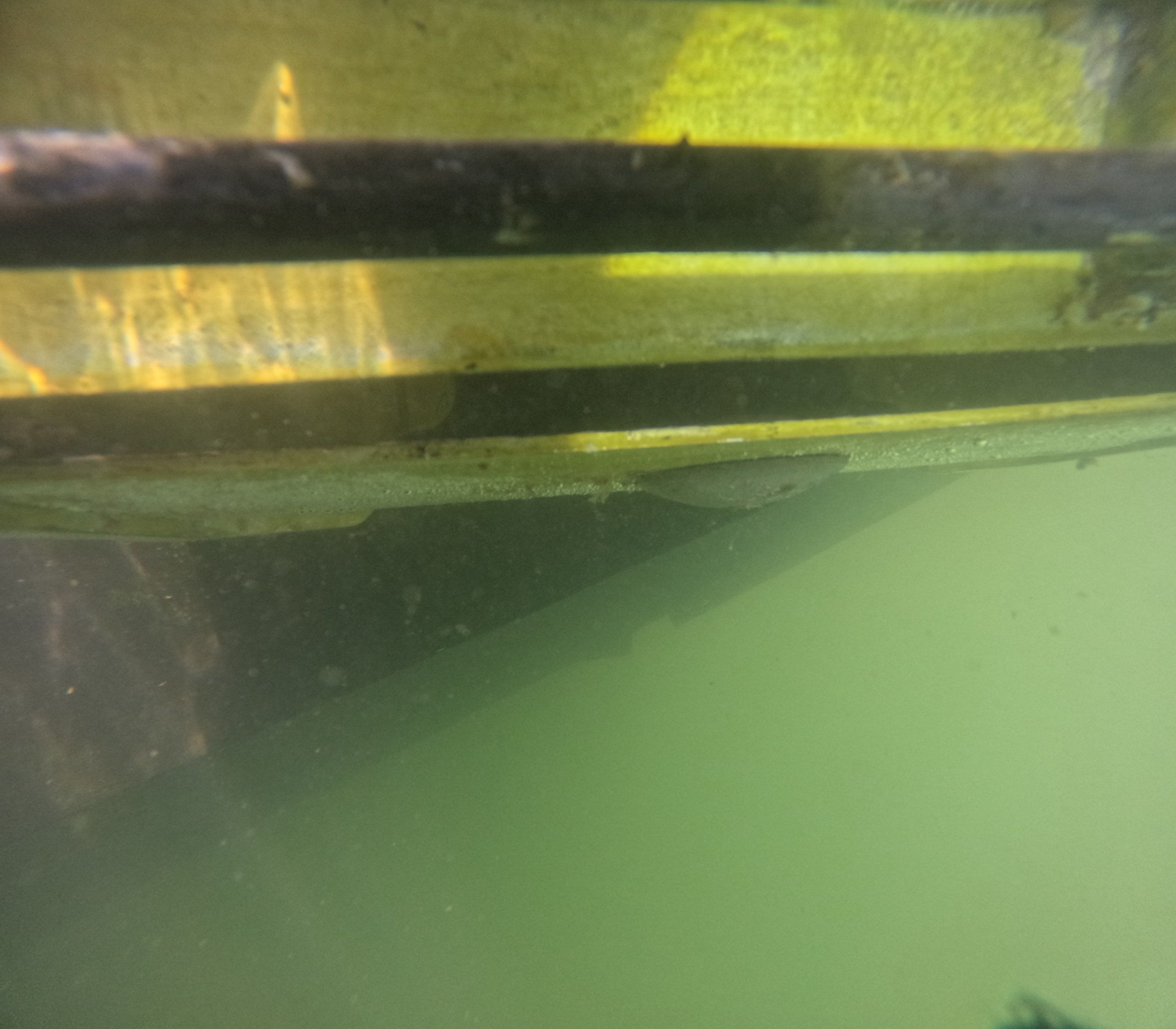 Project in Marco island, FL by Florida Hull Cleaning 