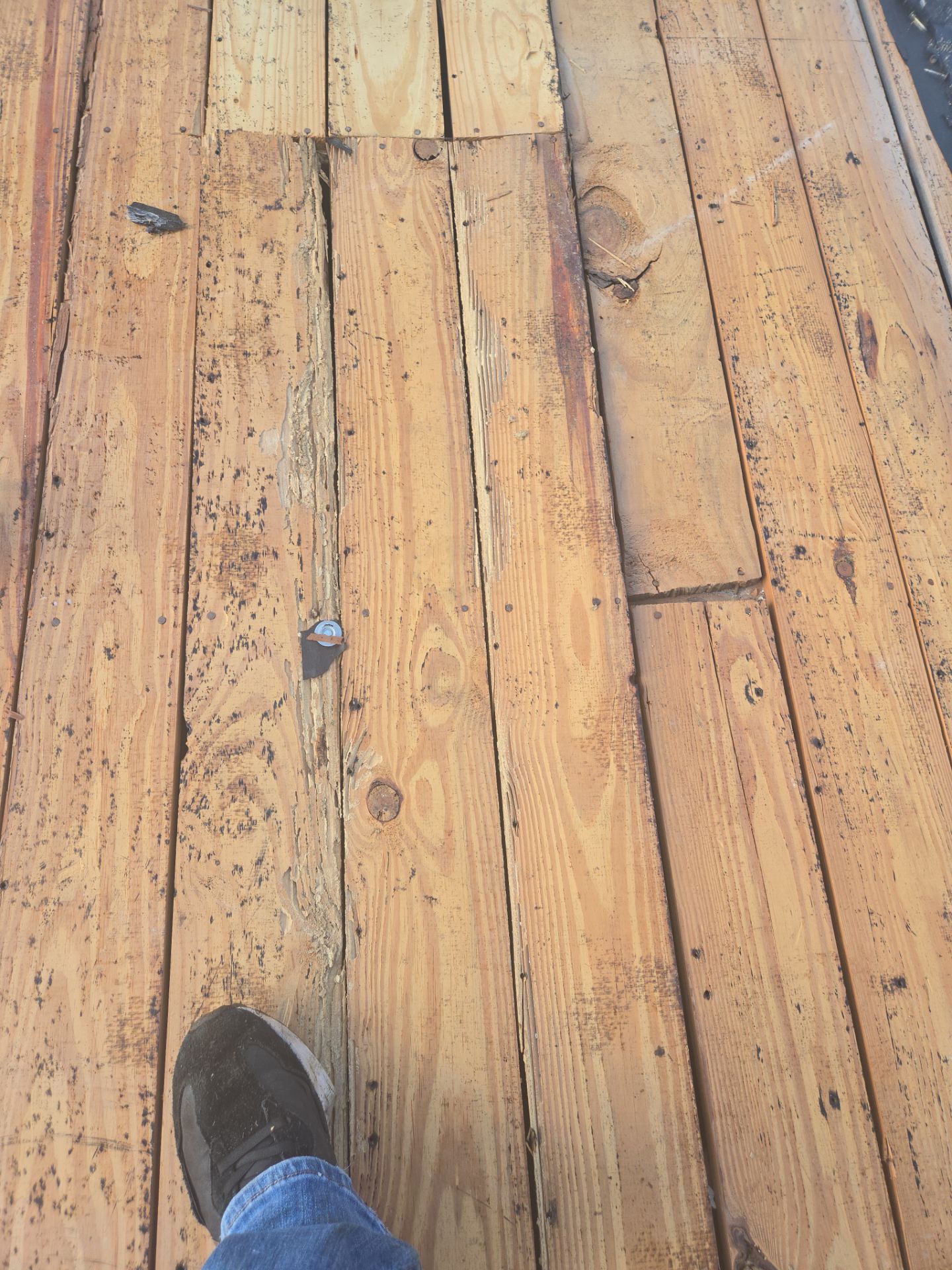 Project in St. Petersburg 33710 by Mitchell Roofing Company LLC 