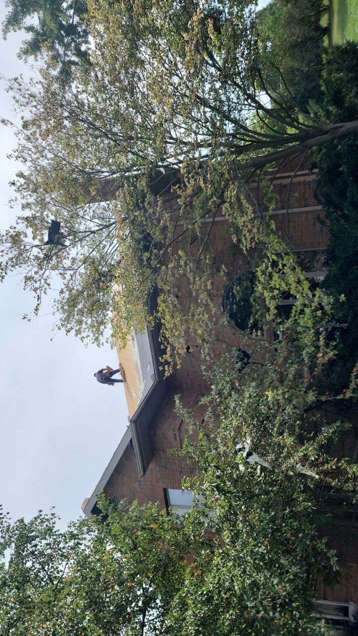 Residential Roofing Repair using GAF Timberline HDZ Shakewood by Nitro Roofing and Construction