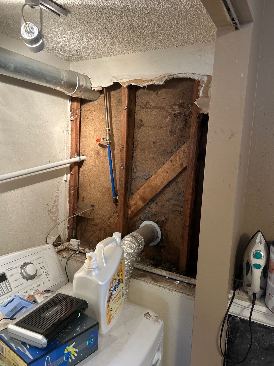 Mold Damage Project in Littleton by Accountable Home Services