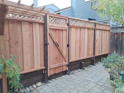 New Fence