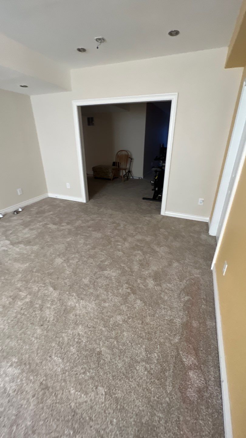 Mold Remediation by Accountable Home Services