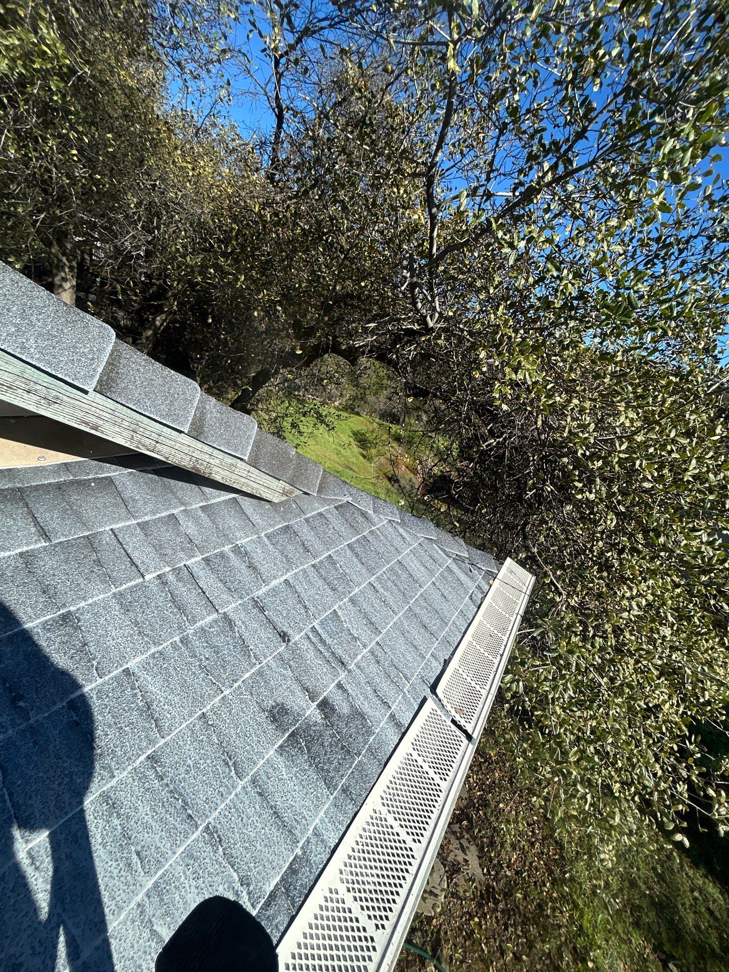 Roof Rejuvenation using Roof Maxx Treatment by Roof Maxx of Folsom