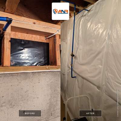 Basement Water Damage and Insulation Replacement