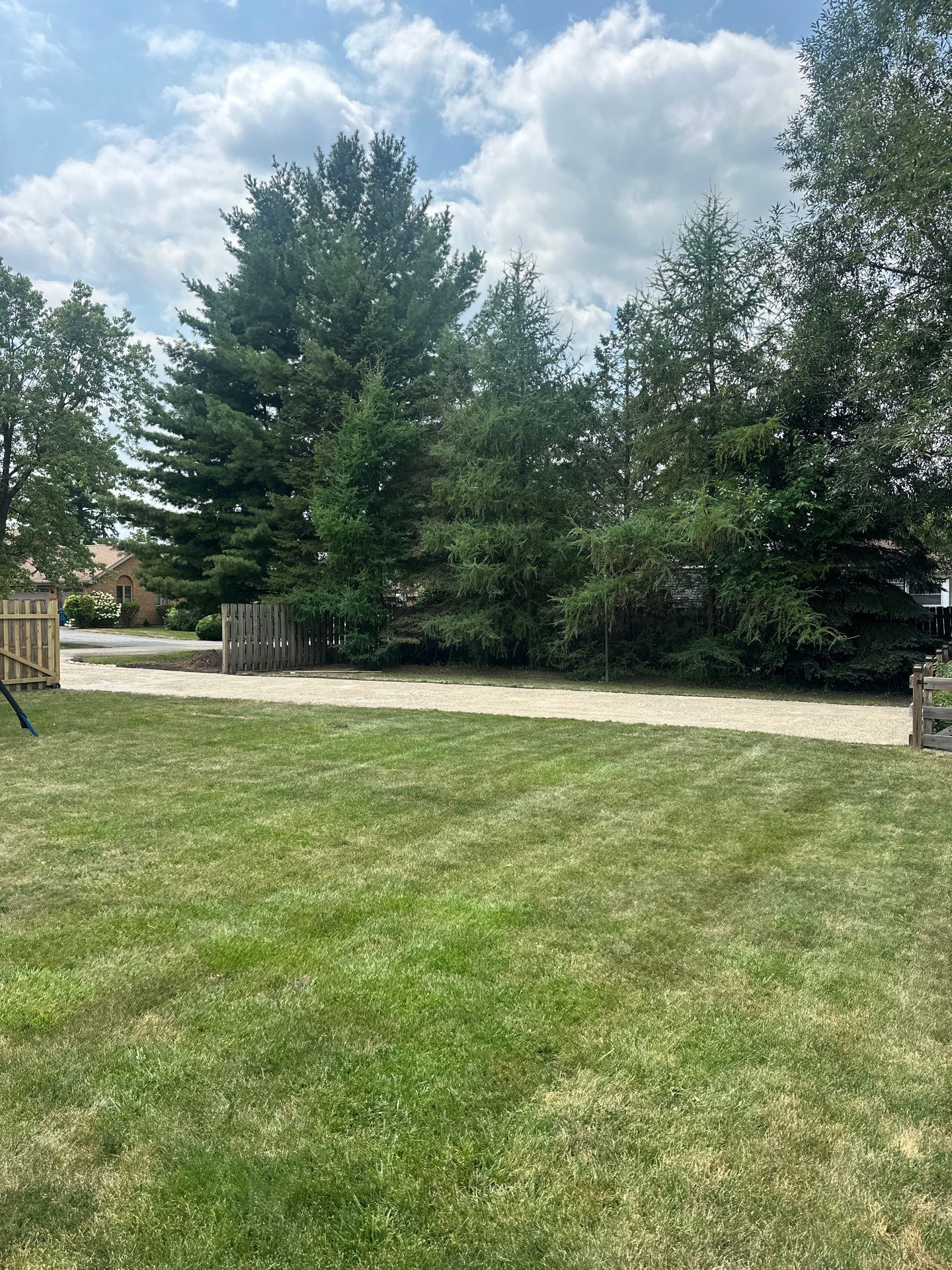 Ben O. - Mount Prospect, IL by A&N