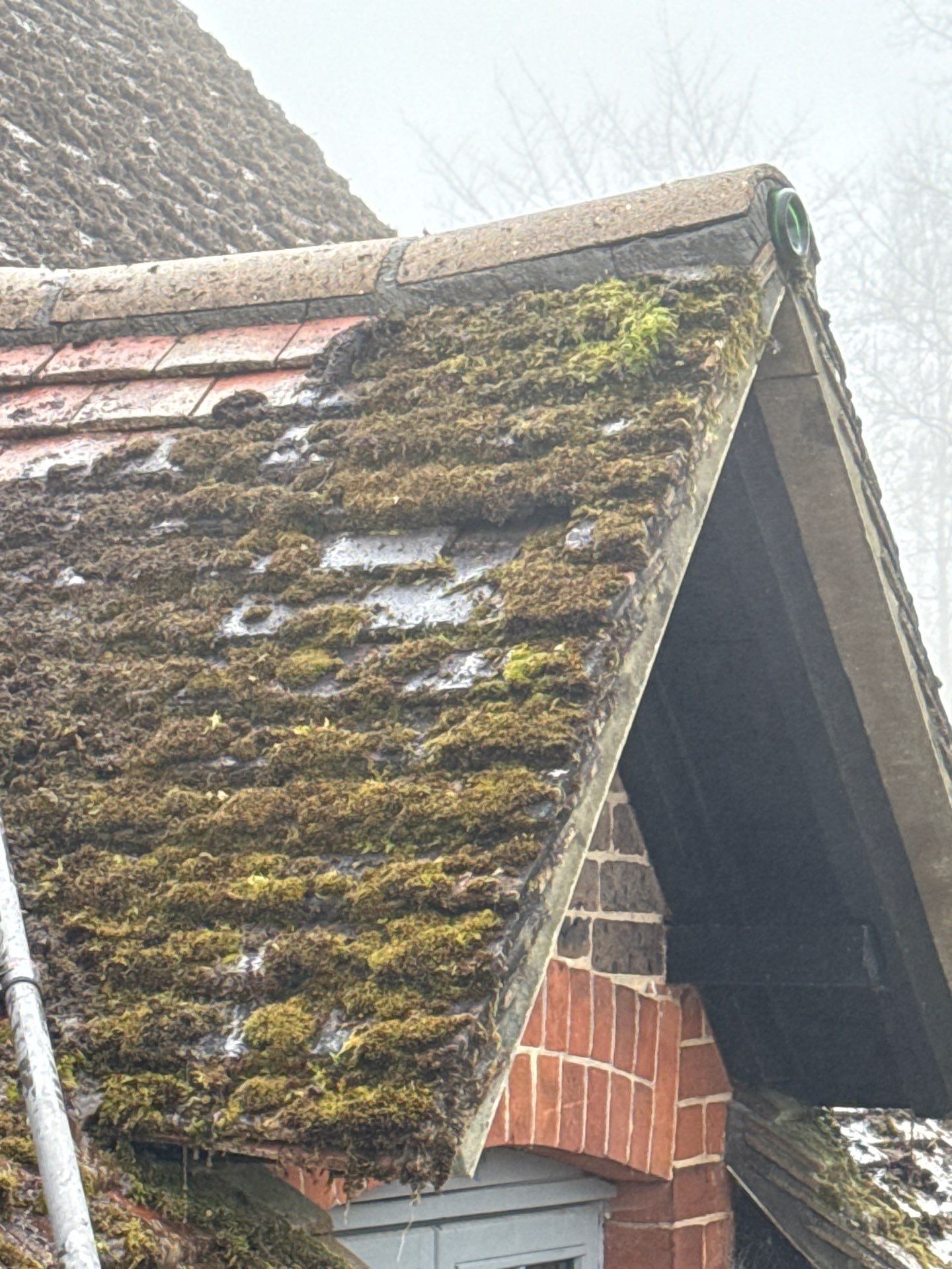 Roof Clean  - Moss Removal - Gutter Clean using Honda 15lpm Low Pressure Washing Machine by Ges Exterior Cleaning ltd
