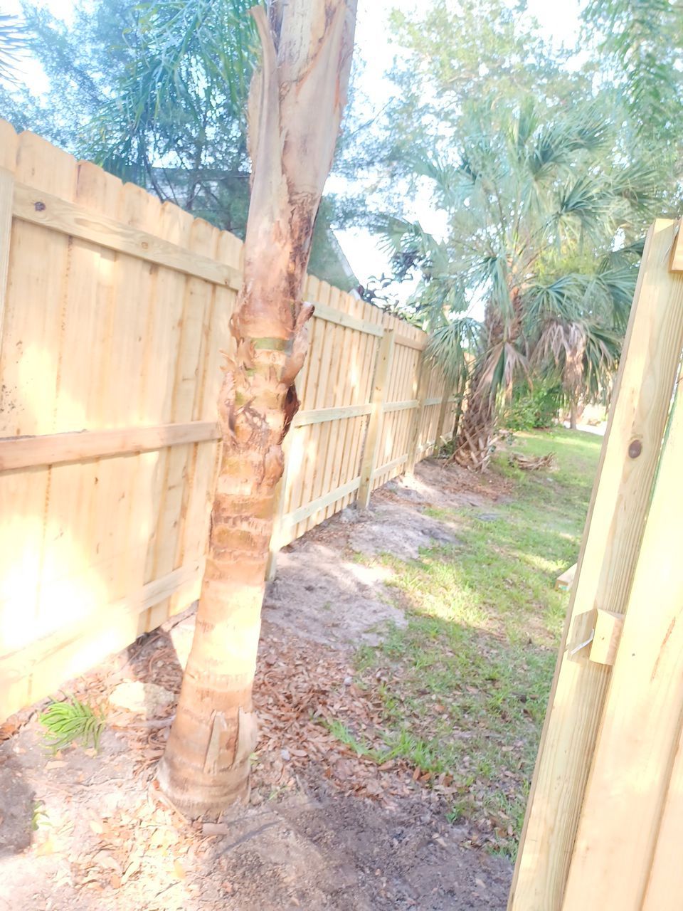Sarasota, FL 6ft. Tall Treated Board on Board Wood Fence by Asap fence and gates, LLC