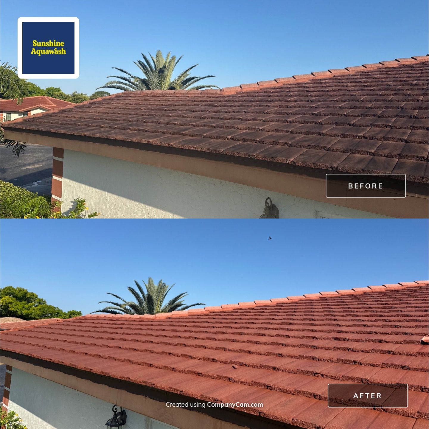 Tile Roof Cleaning – Vivenda at Bradenton I (5-Star Review & Plant Protection) by Sunshine AquaWash