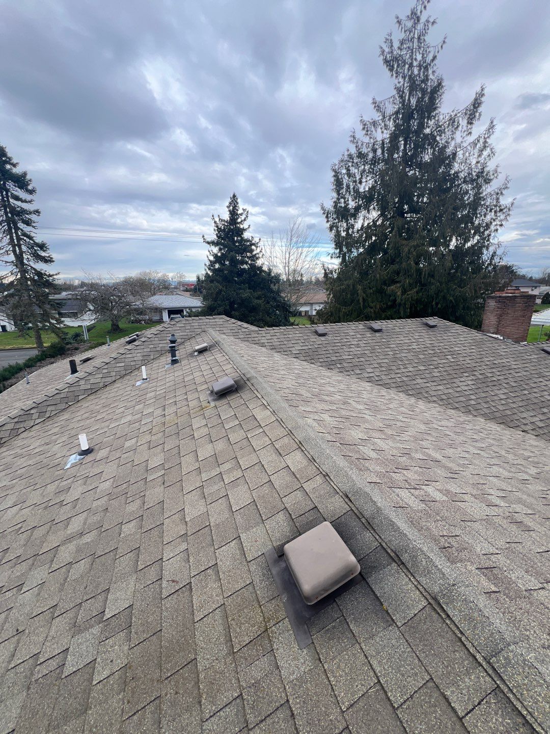 Residential Roofing Installation using IKO Dynasty (Color: Granite Black) by Orezona Building & Roofing Company, Inc.