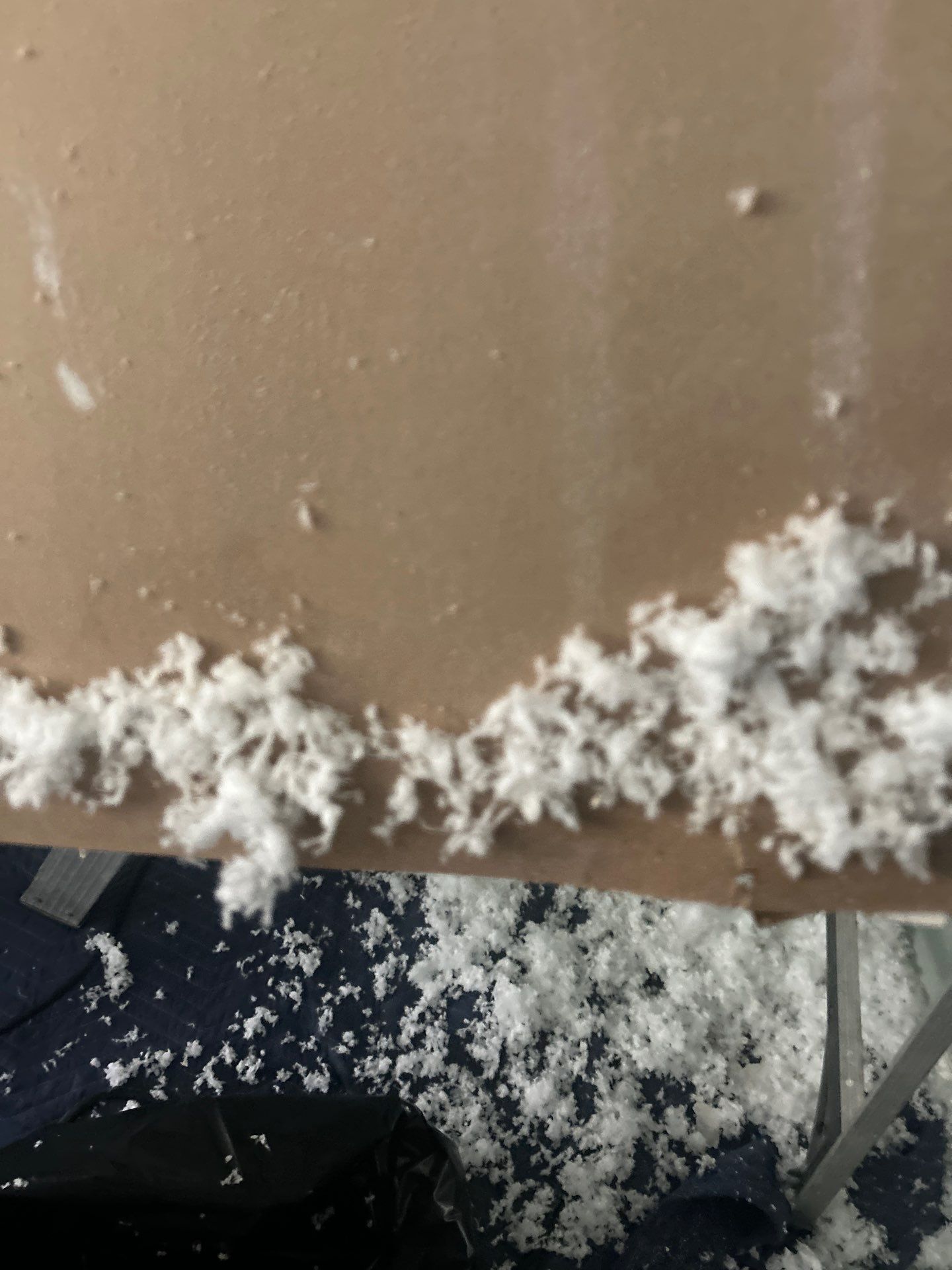 Mold Removal and treatment in Brandon, Florida by Ampm Restoration Services