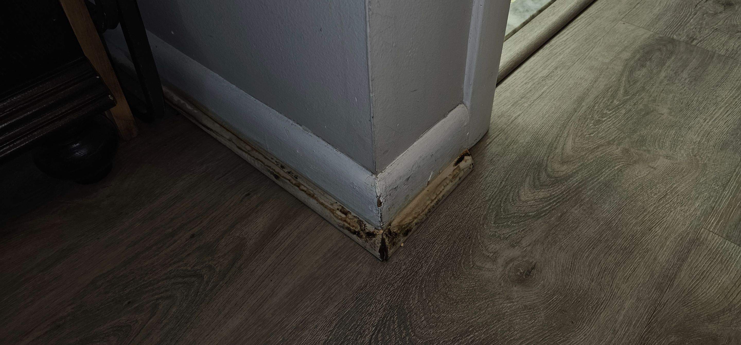 Water Damage Claim in Deerfield Beach by FLAPA & KeyStone