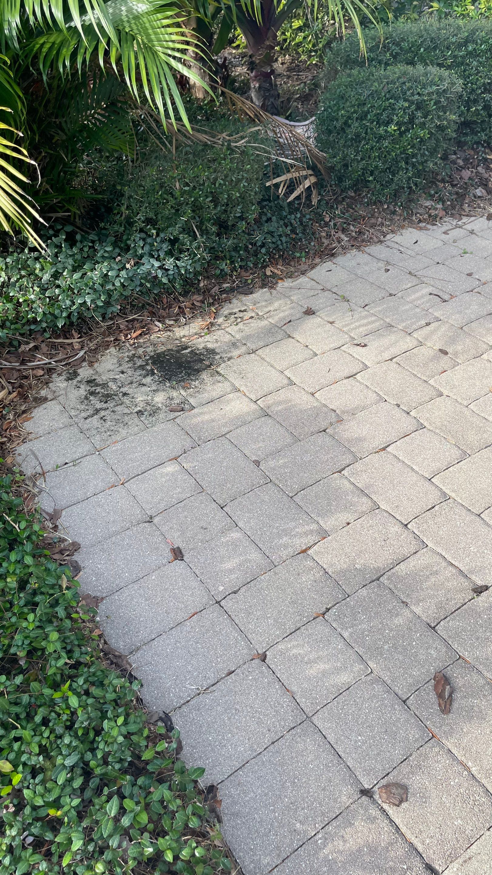 Concrete Tile Roof, Paver Pool Deck, Screen Enclosure & Driveway Cleaning in Artisan Lakes Esplanade, Palmetto, FL | Sunshine AquaWash by Sunshine AquaWash