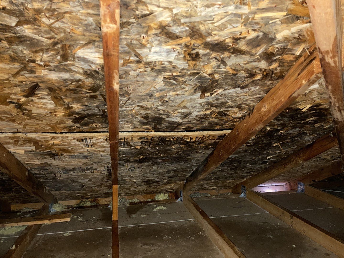 Mold Remediation Cleanup in Attic by Accountable Home Services