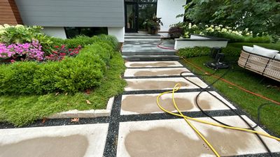 bluestone using Algaecide, soft wash soap