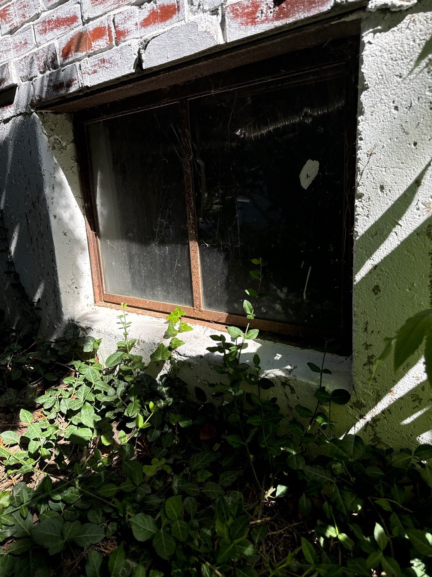 New Basement Windows in Mission Hills by WINDURA