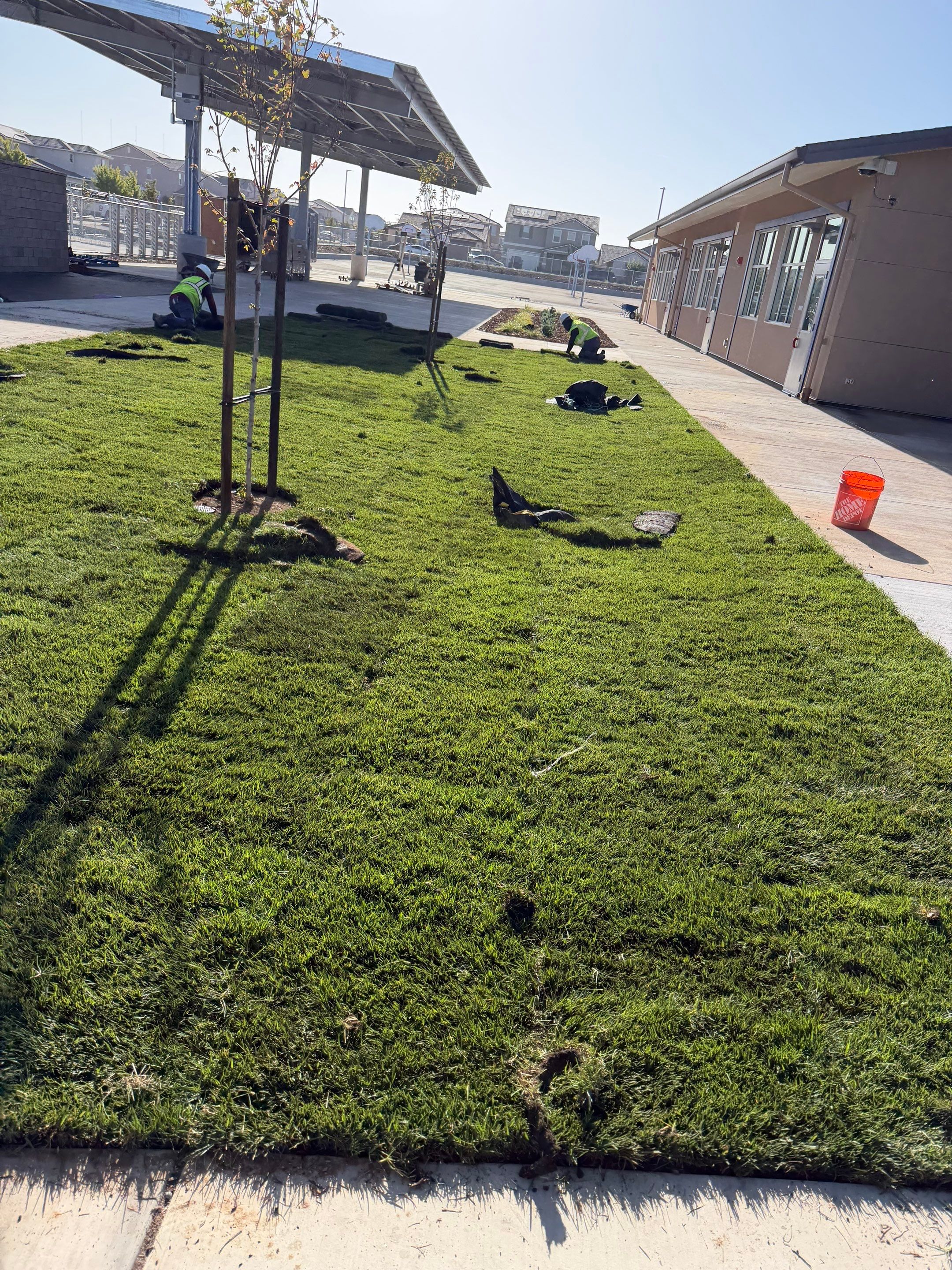 Project in Rancho Cordova by A - G Sod Farms