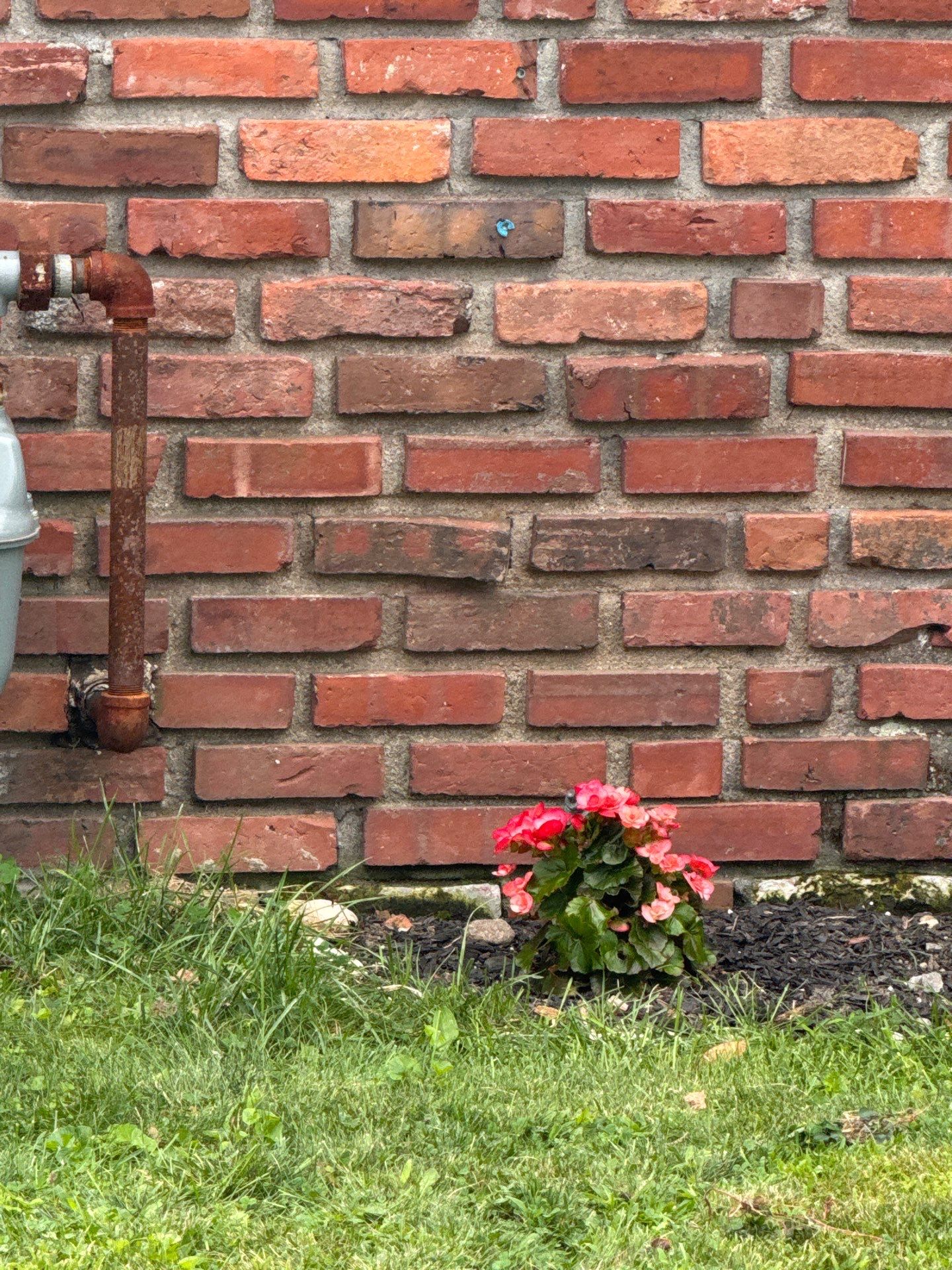Lowell Premium Velux Curb-Mount Skylight & Chimney Restoration by Mighty Dog Roofing of Greater Middlesex County